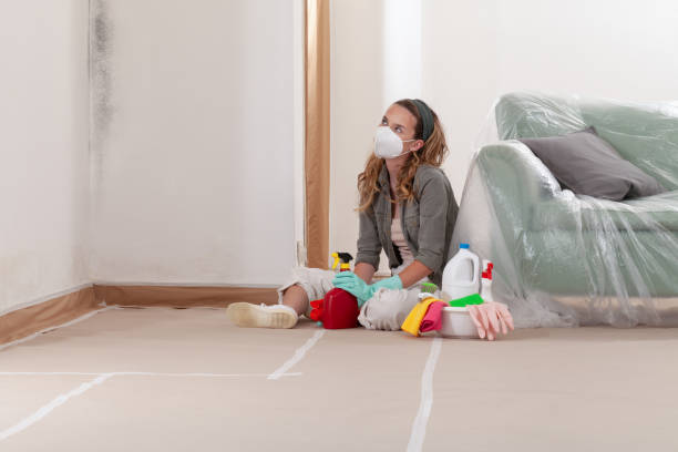 Reliable Mold Cleanup contractor in Selma, NC by Cheap Mold Removal